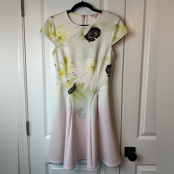 Ted Baker Petala Floral Printed Skater Dress Size 1/US4 - Picture 3 of 10